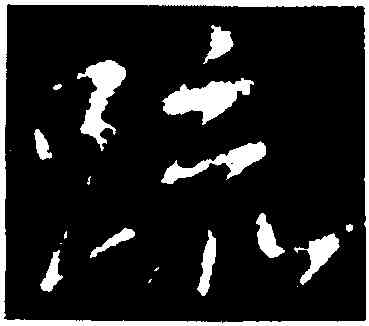 疏,王獻之,書法字典